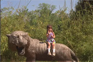 small_9400 0644IMG0005.webp